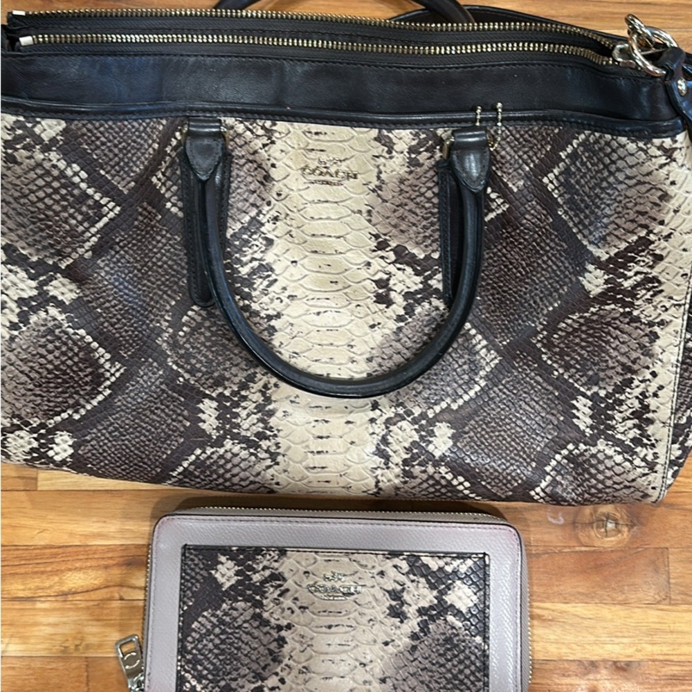Coach Snakeskin and Leather Tote Bag